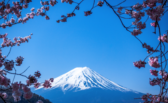 fuji
